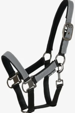 Horse Guard Grimmor & Grimskaft|Horse Guard-Grimma Reflex Silver