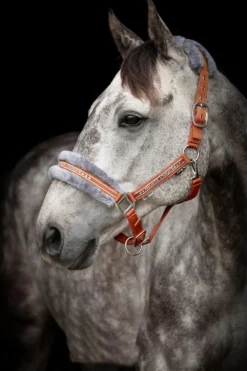 Horse Unique Grimmor & Grimskaft-Grimma Rost