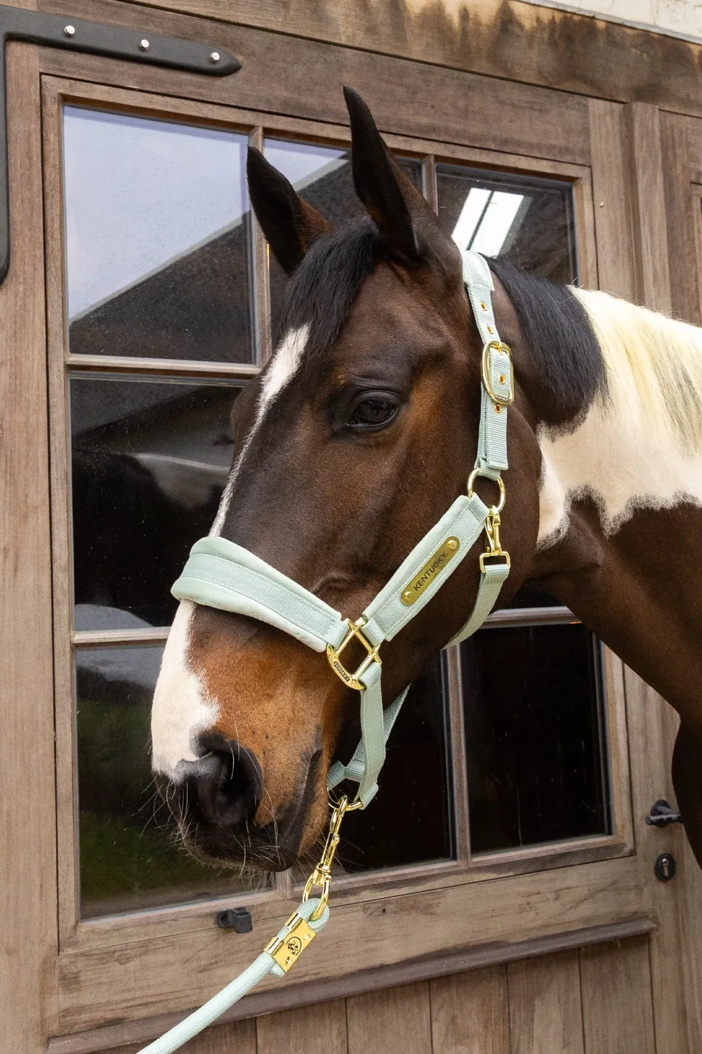 Kentucky Horsewear Kentucky Horsewear|Grimmor & Grimskaft-Grimma Sammet Mint
