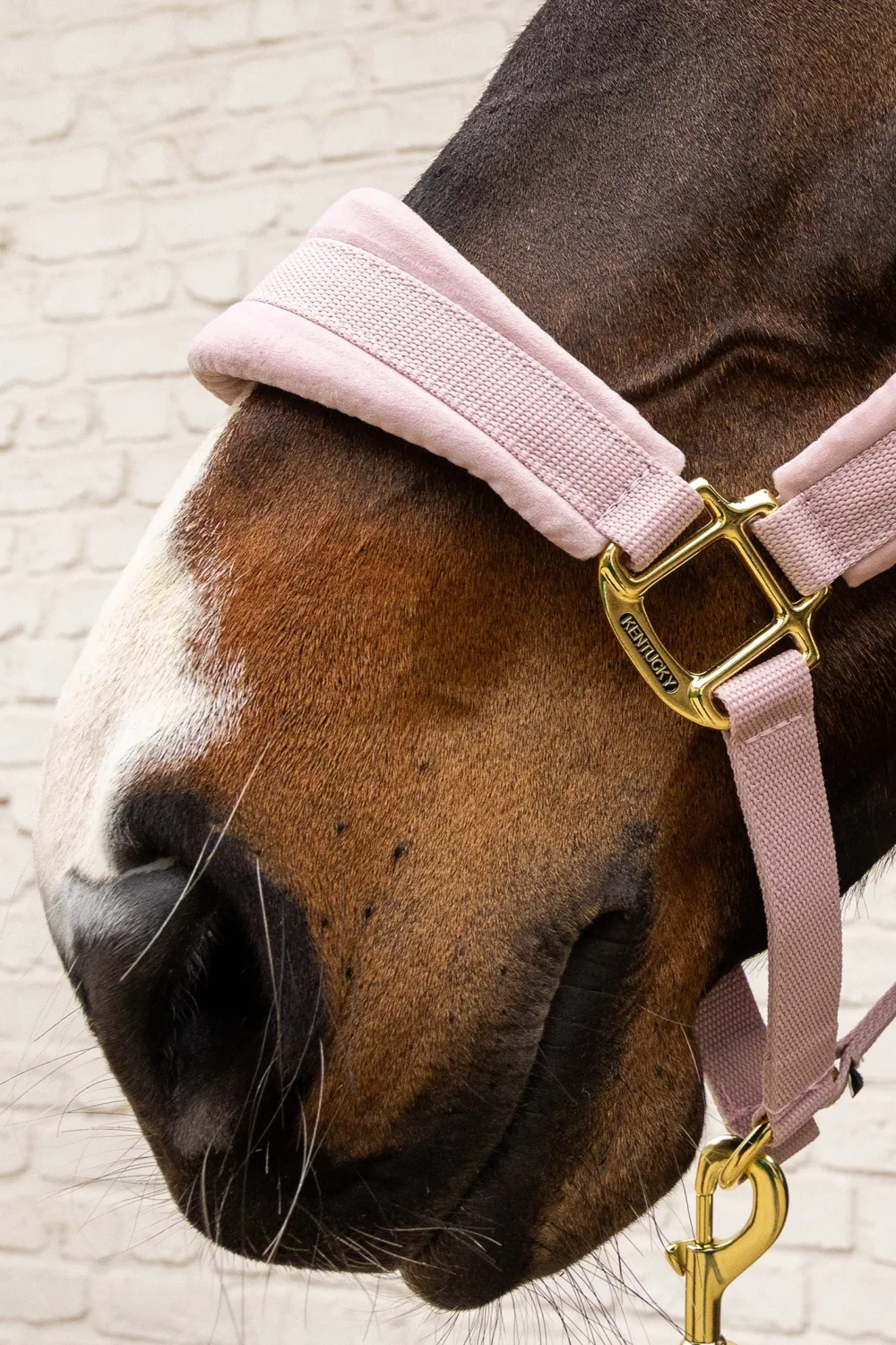 Kentucky Horsewear Kentucky Horsewear|Grimmor & Grimskaft-Grimma Sammet Soft Rose