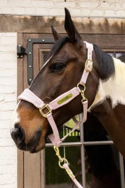 Kentucky Horsewear Kentucky Horsewear|Grimmor & Grimskaft-Grimma Sammet Soft Rose