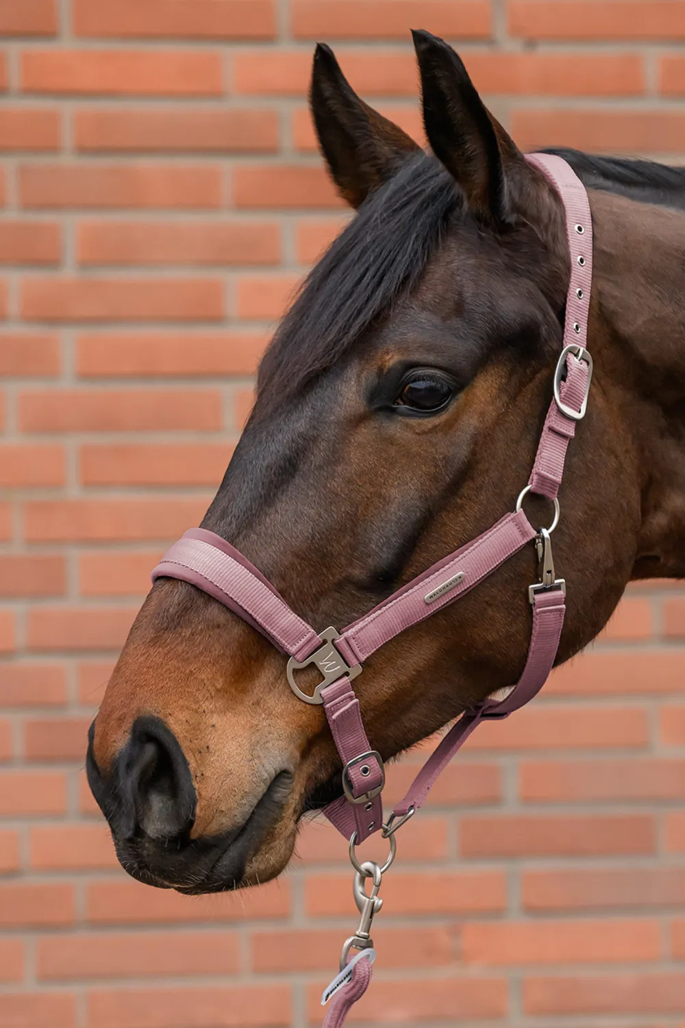 Waldhausen Grimmor & Grimskaft-Grimma Set Velvet Dusky Pink