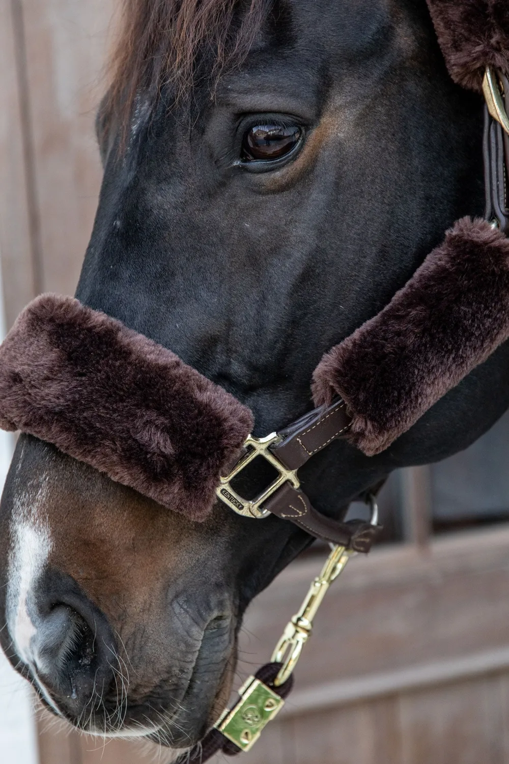 Kentucky Horsewear Kentucky Horsewear|Grimmor & Grimskaft-Grimset Fårskinn 4-pack Brun