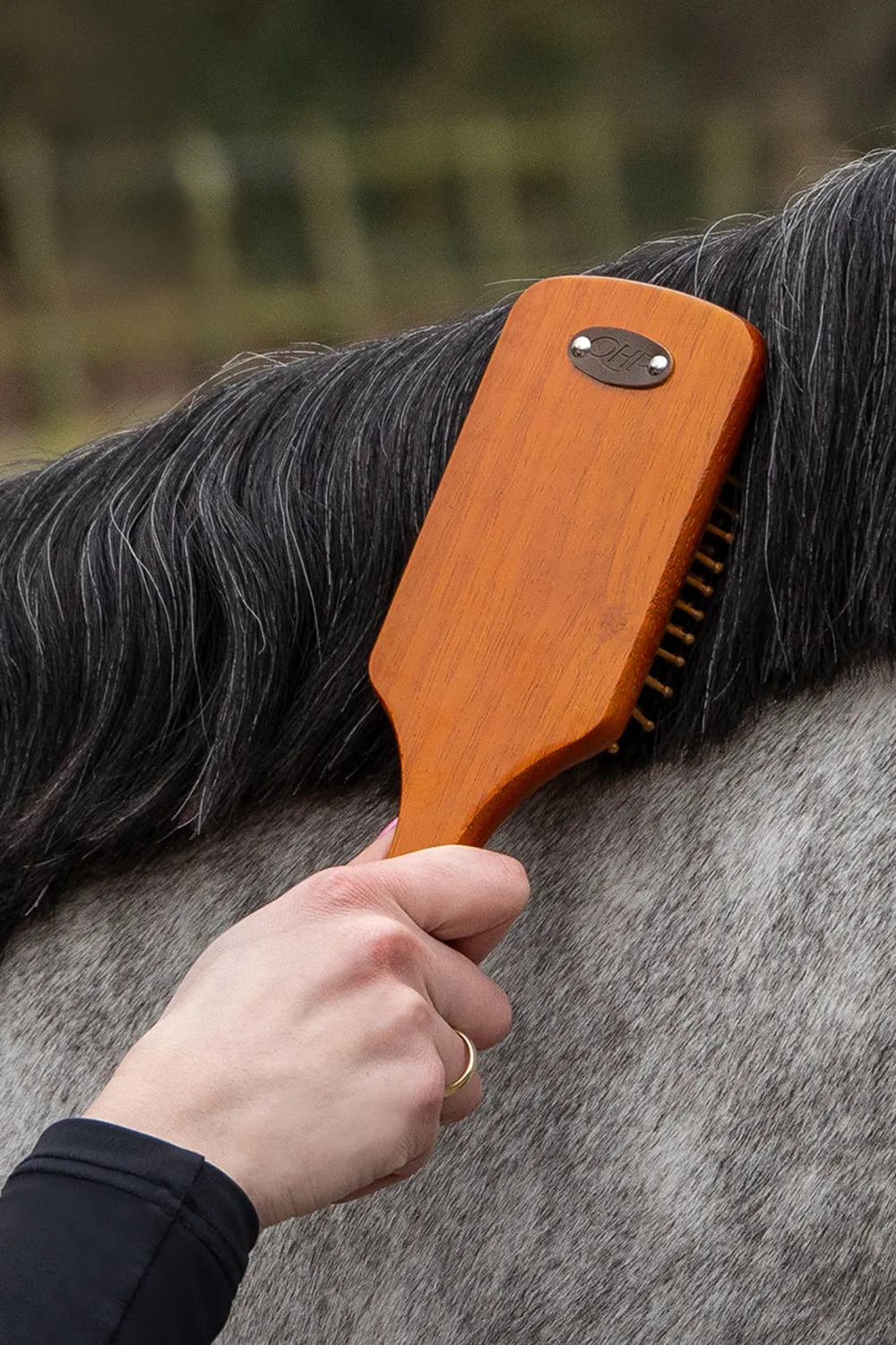 QHP Qhp|Ryktväskor & Ryktborstar-Grooming Set Royal Brown