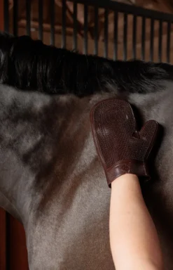 Grooming Deluxe Grooming Deluxe|Ryktväskor & Ryktborstar-Gummihandske Brun