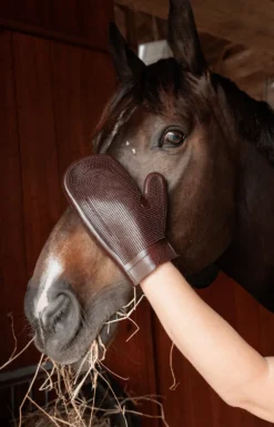 Grooming Deluxe Grooming Deluxe|Ryktväskor & Ryktborstar-Gummihandske Brun