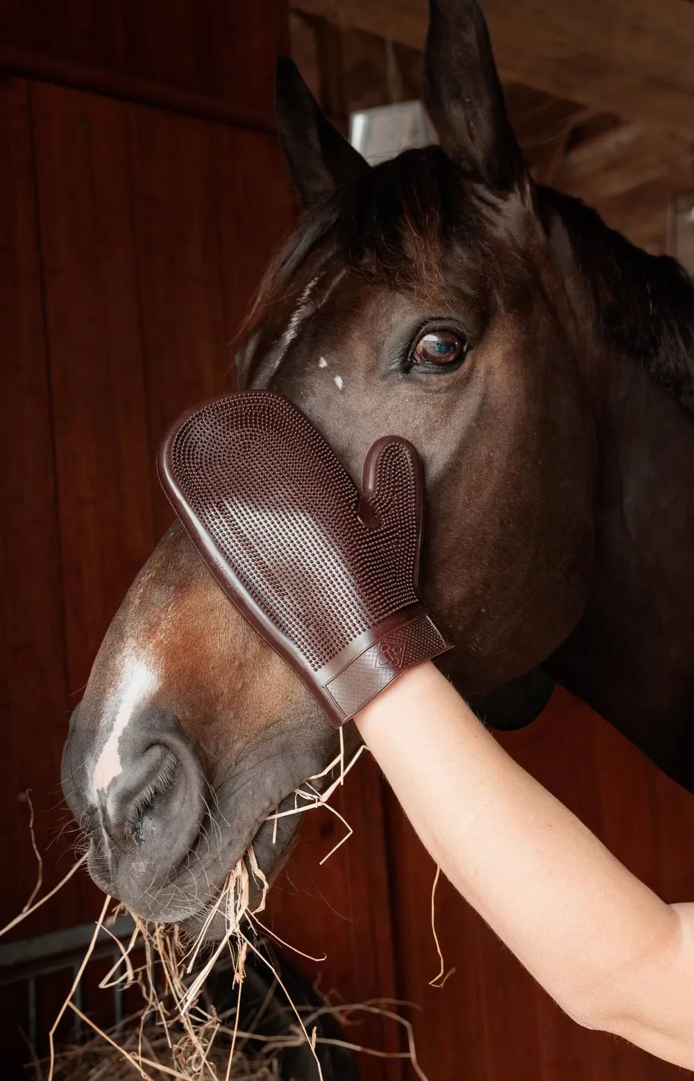 Grooming Deluxe Grooming Deluxe|Ryktväskor & Ryktborstar-Gummihandske Brun