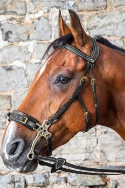 Dyón Dyón-Hackamore Nackstycke Dyon Collection Svart