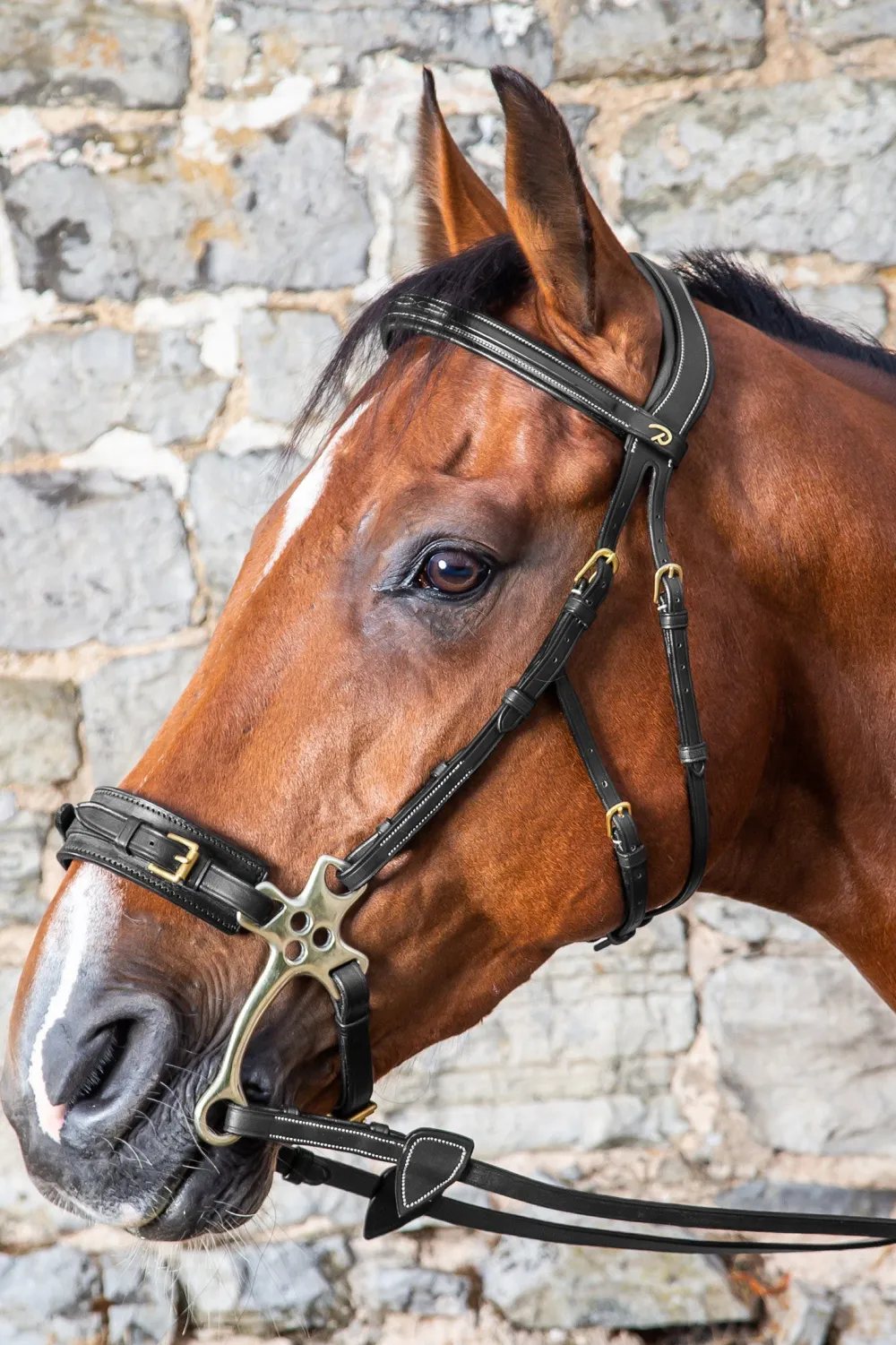 Dyón Dyón-Hackamore Nackstycke Dyon Collection Svart