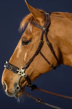 Dyón Dyón|Träns & Pannband-Hackamore Nackstycke Dyon Collection Brun