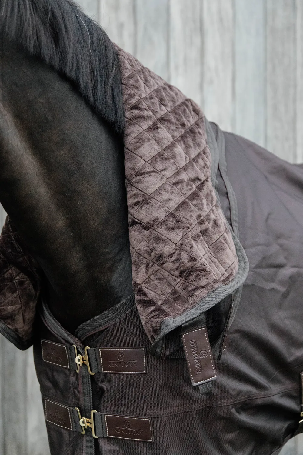 Kentucky Horsewear Hästtäcken & Flughuvor|Kentucky Horsewear-Has Aväder Pro 150g Svart