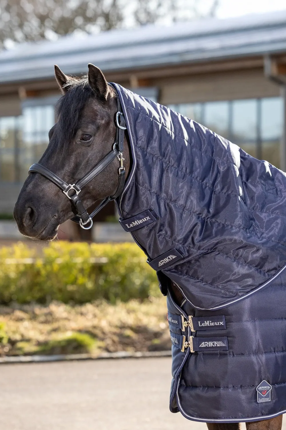 LeMieux Lemieux-Ha ti tatäcke Arika 100g Navy