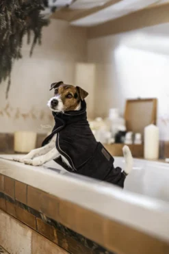 Kentucky Dogwear Kentucky Dogwear-Handduk Hundtäcke