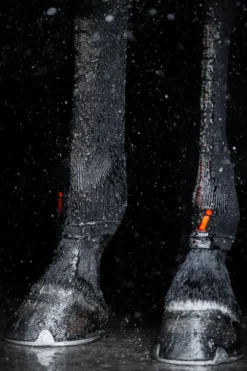 Incrediwear Incrediwear Equine-Hasstrupa Svart
