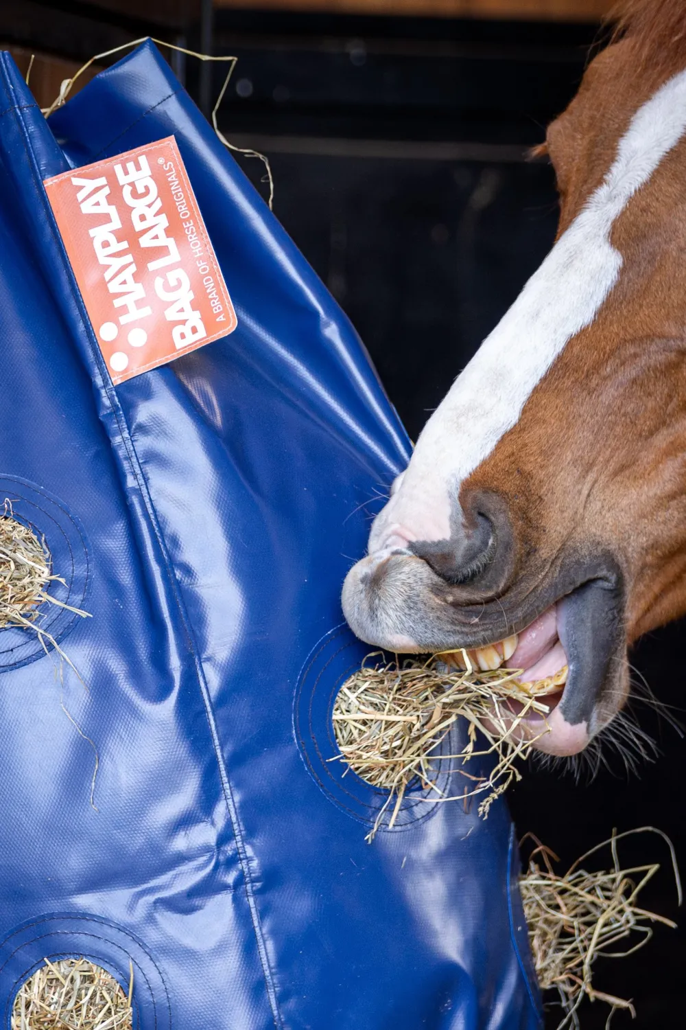 Horse Originals Höpåsar & Hönät|Hästleksaker & Aktivering-HAYPLAY BAG L