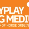 Horse Originals Höpåsar & Hönät-HayPlay Kudde M