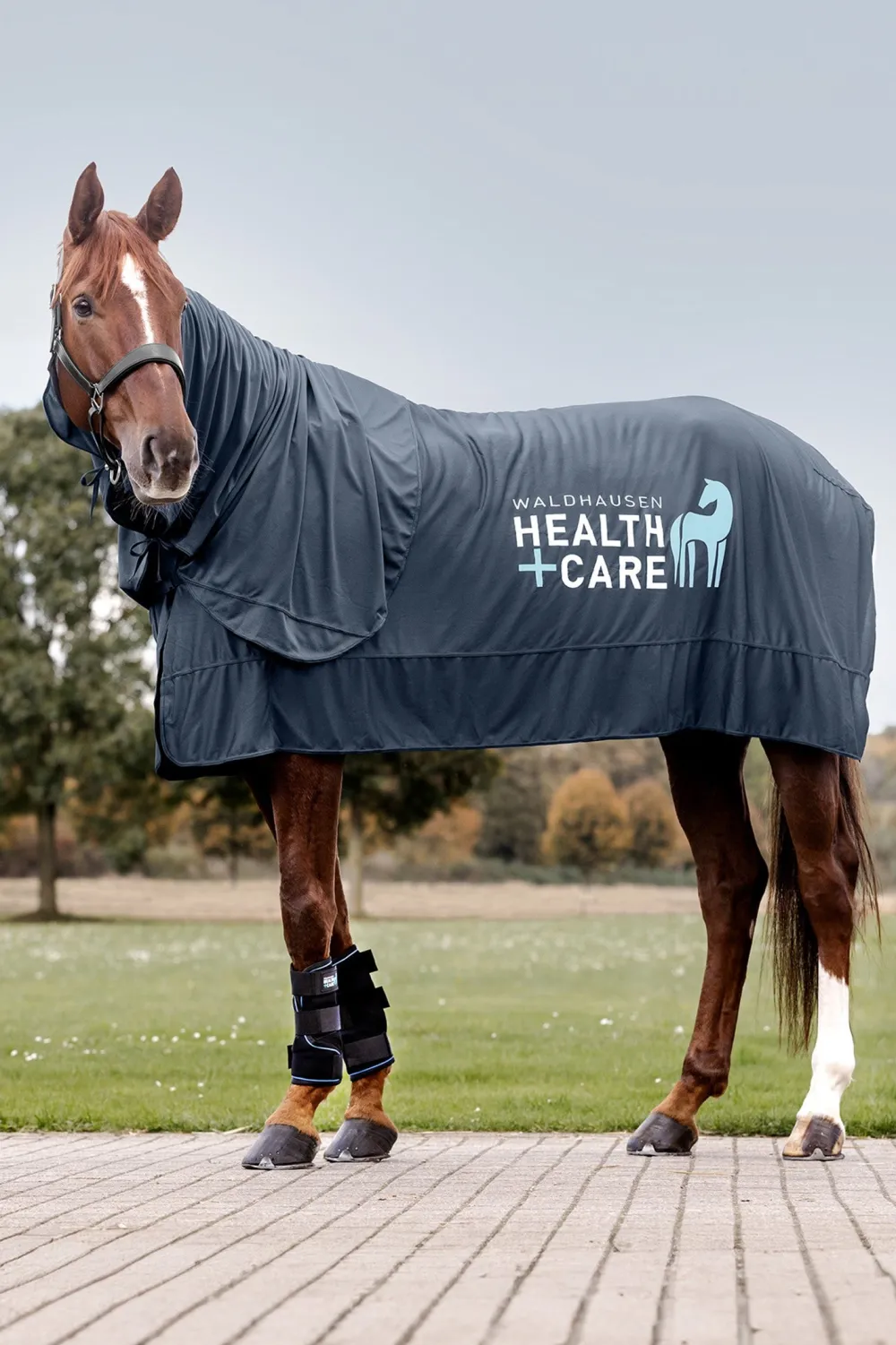 Waldhausen Hästtäcken & Flughuvor-Health + Care Ice Layer Hals Night Blue