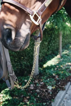 Kentucky Horsewear Grimmor & Grimskaft-Hingstkedja