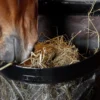Kentucky Horsewear Kentucky Horsewear|Höpåsar & Hönät-Hönät L Svart
