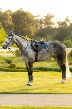 LeMieux Schabrak & Huvor|Lemieux-Hoppschabrak Loire Classic GP Jungle