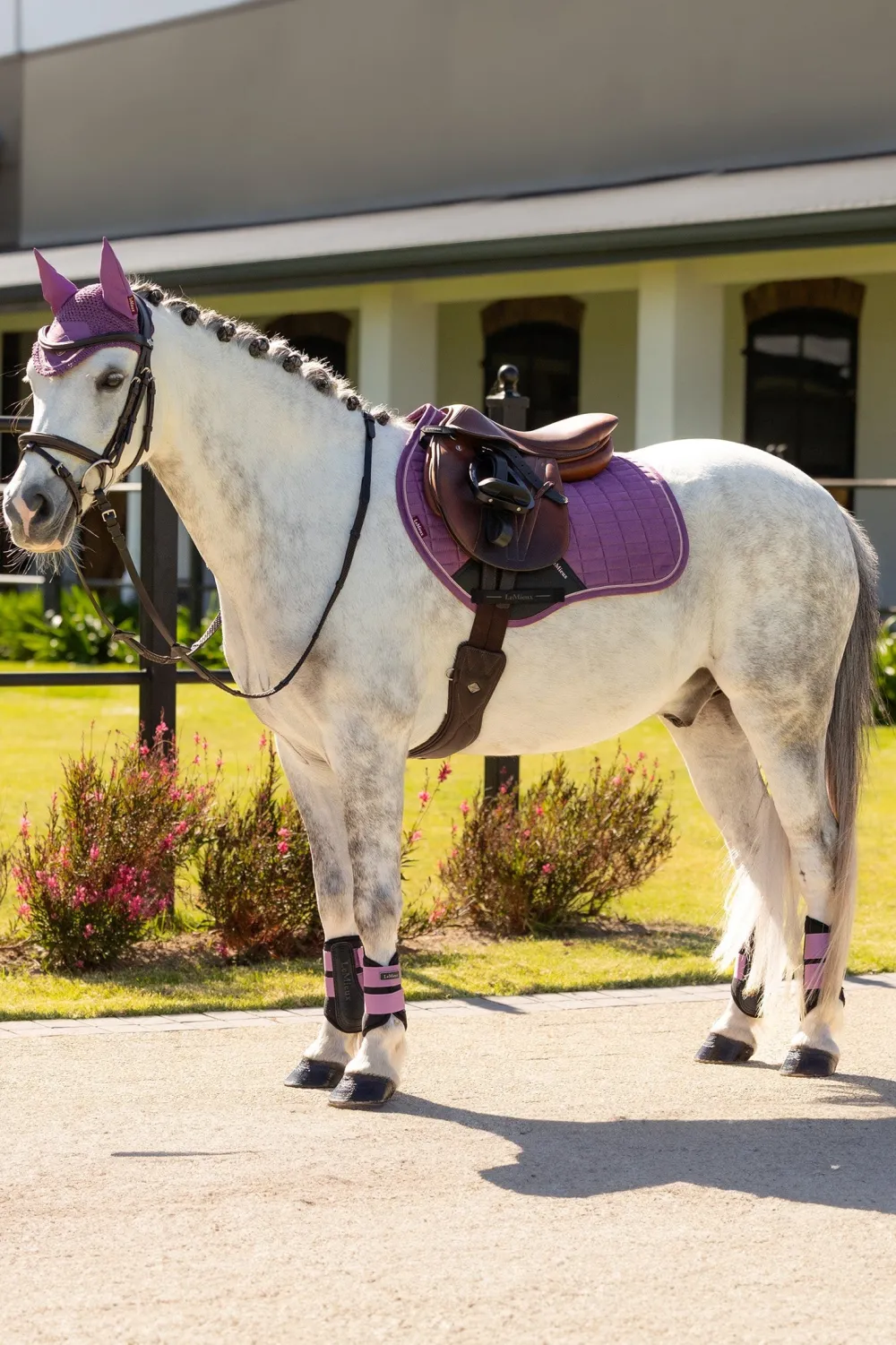 LeMieux Schabrak & Huvor|Lemieux-Hoppschabrak Ponny Sammet Mallow