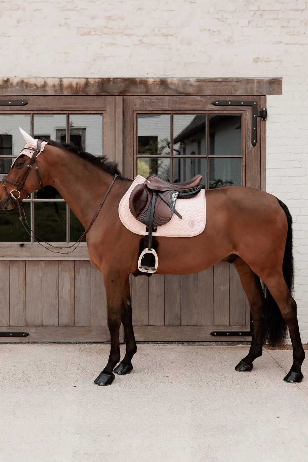 Kentucky Horsewear Kentucky Horsewear|Schabrak & Huvor-Hoppschabrak Sparkling Old Rose