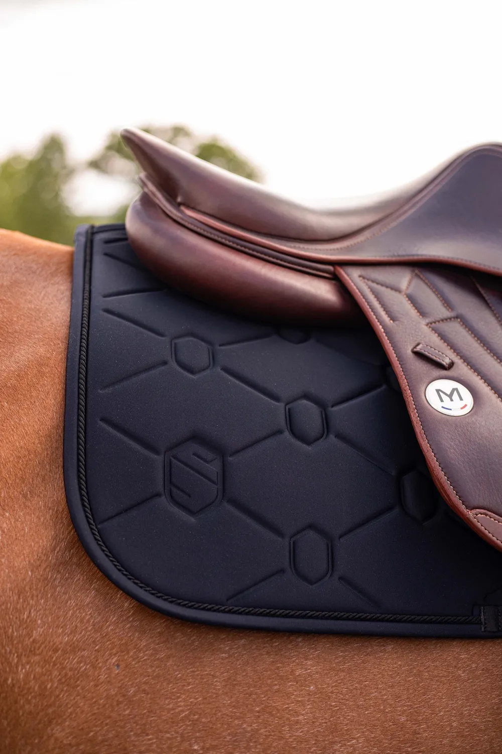 Samshield Samshield|Schabrak & Huvor-Hoppschabrak Spineshield Broderad Svart