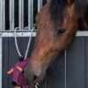 QHP Qhp|Hästleksaker & Aktivering-Horse Toy Boll