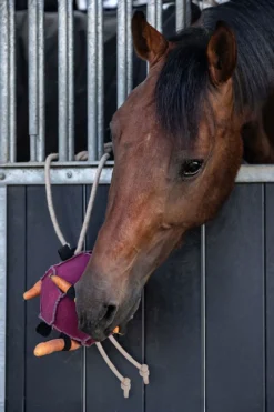 QHP Qhp|Hästleksaker & Aktivering-Horse Toy Boll