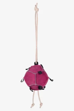 QHP Qhp|Hästleksaker & Aktivering-Horse Toy Boll
