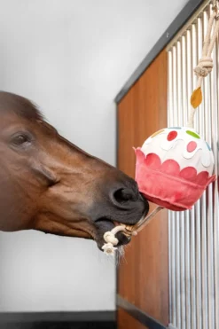 LeMieux Hästleksaker & Aktivering|Lemieux-Horse Toy Leksak Cupcake
