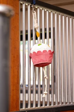 LeMieux Hästleksaker & Aktivering|Lemieux-Horse Toy Leksak Cupcake