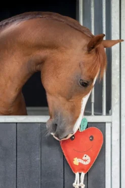 QHP Qhp|Hästleksaker & Aktivering-Horse Toy Äpple