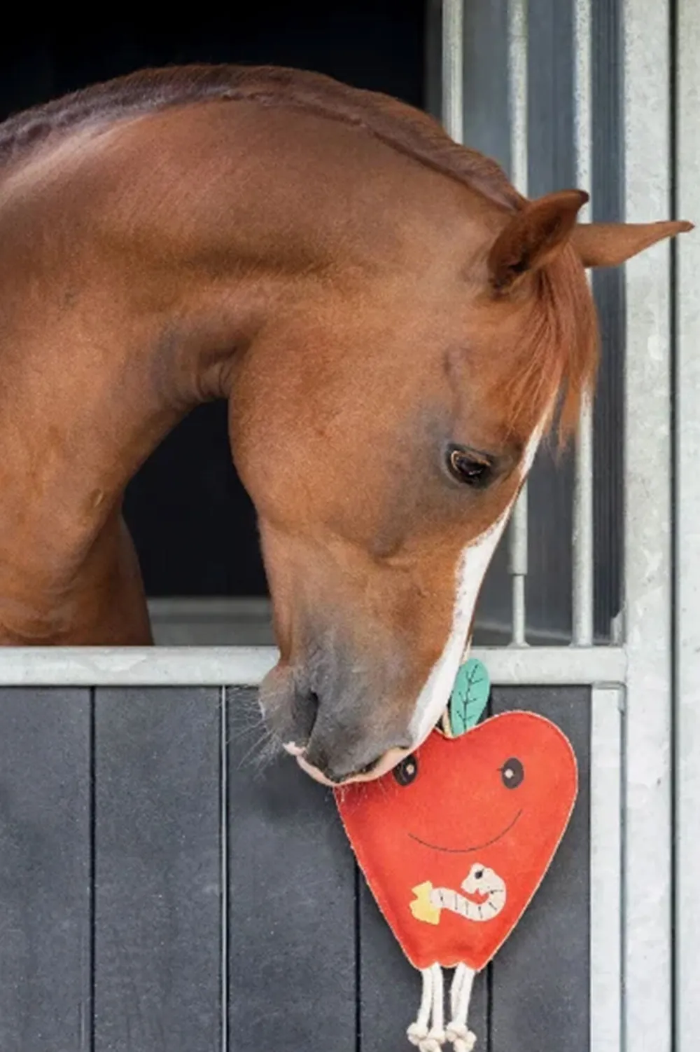QHP Qhp|Hästleksaker & Aktivering-Horse Toy Äpple