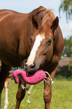 QHP Qhp|Hästleksaker & Aktivering-Horse Toy Unicorn