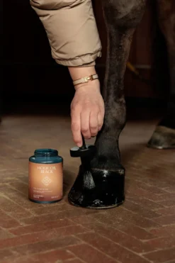 Kentucky Horsewear Grooming Deluxe-Hovolja Deluxe Svart