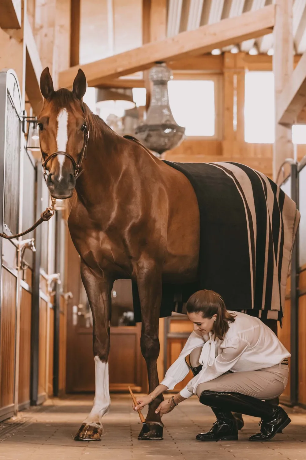 Grooming Deluxe Grooming Deluxe-Hovpensel