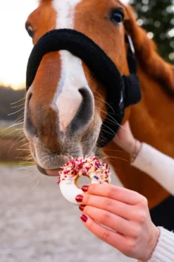 Candy Horse Candy Horse-Hästgodis Donuts Heather & Cornflower 2-pack