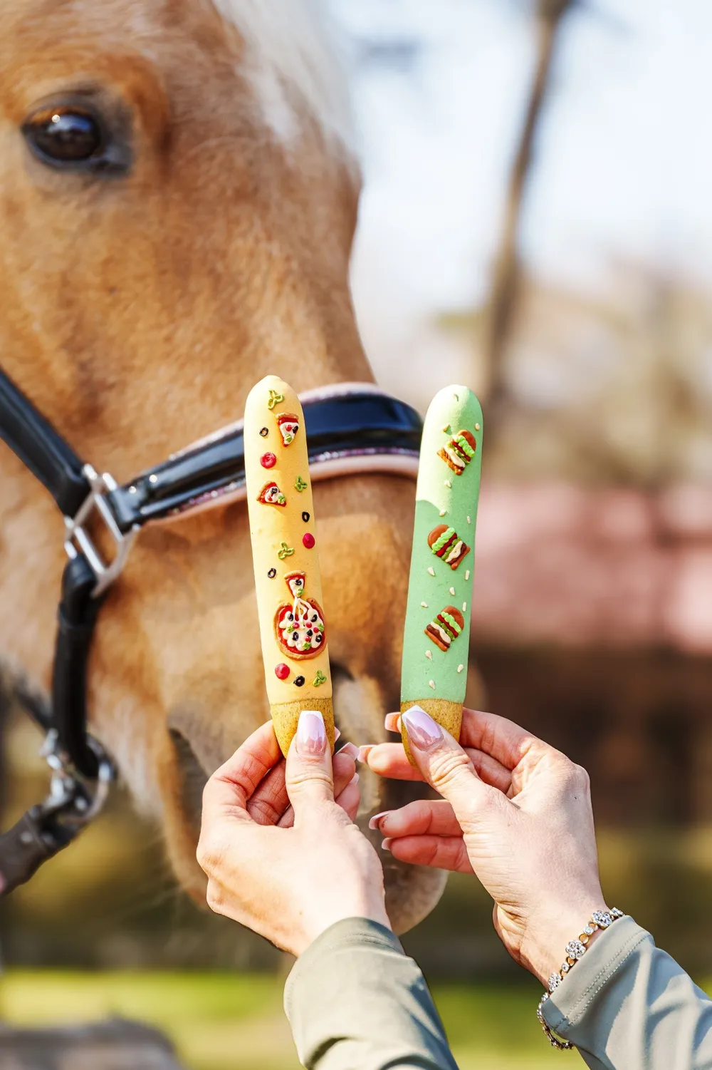 Candy Horse Candy Horse-Hästgodis Sticks Foodie 6-pack