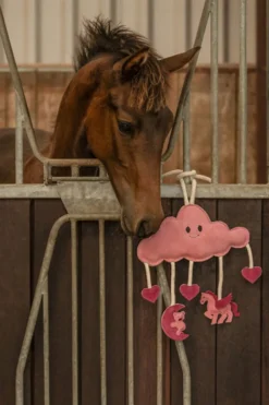 QHP Qhp|Hästleksaker & Aktivering-Hästleksak Novy Rosa