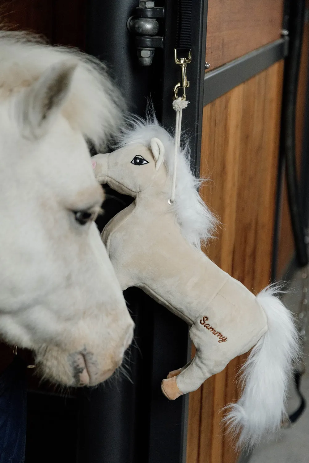 Kentucky Horsewear Kentucky Horsewear|Hästleksaker & Aktivering-Hästleksak Sammy
