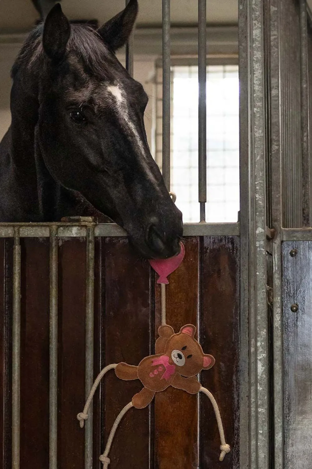 QHP Qhp|Hästleksaker & Aktivering-Hästleksak Valentine Björn