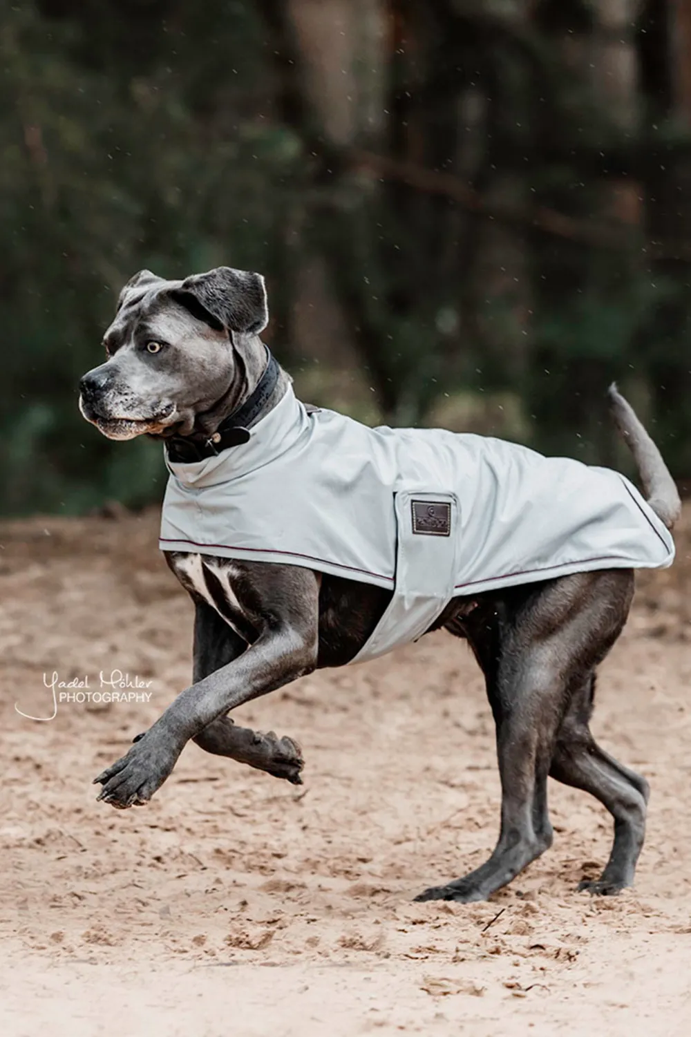 Kentucky Dogwear Kentucky Dogwear-Hundregntäcke 0g