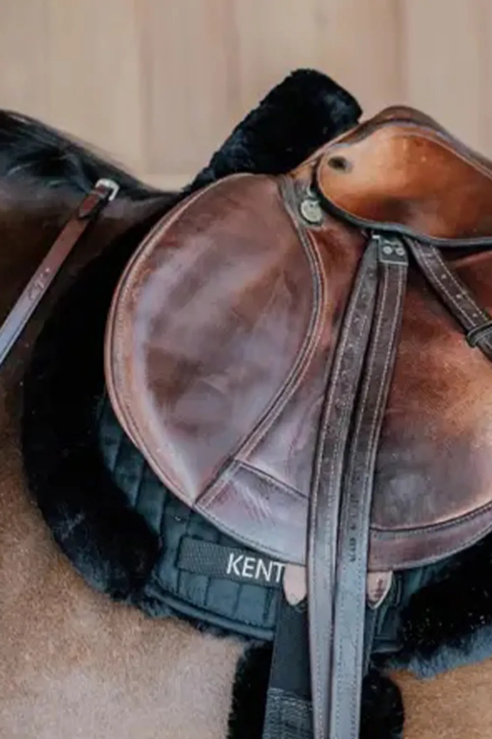 Kentucky Horsewear Schabrak & Huvor-Hunterschabrak Fårskinn