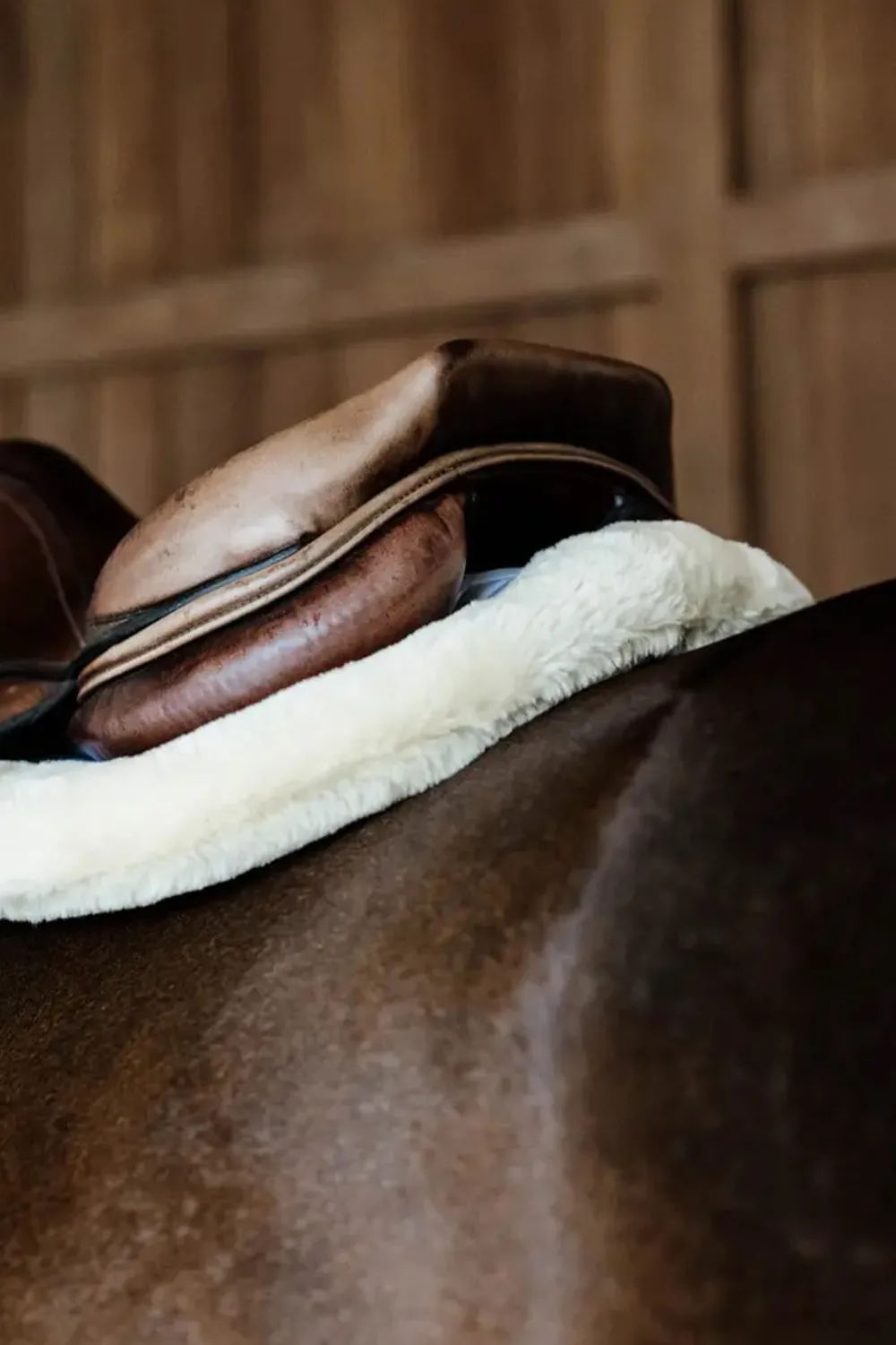 Kentucky Horsewear Schabrak & Huvor-Hunterschabrak Fårskinn