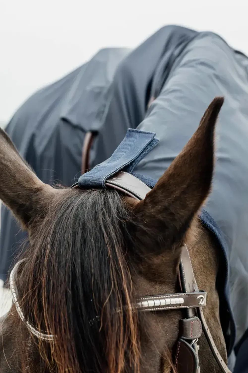 Kentucky Horsewear Hästtäcken & Flughuvor|Kentucky Horsewear-Hurricane Ridregntäcke Navy