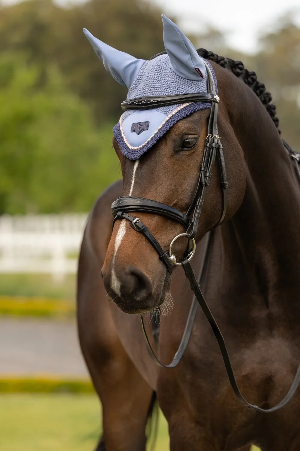LeMieux Schabrak & Huvor|Lemieux-Huva oire Powder Bue