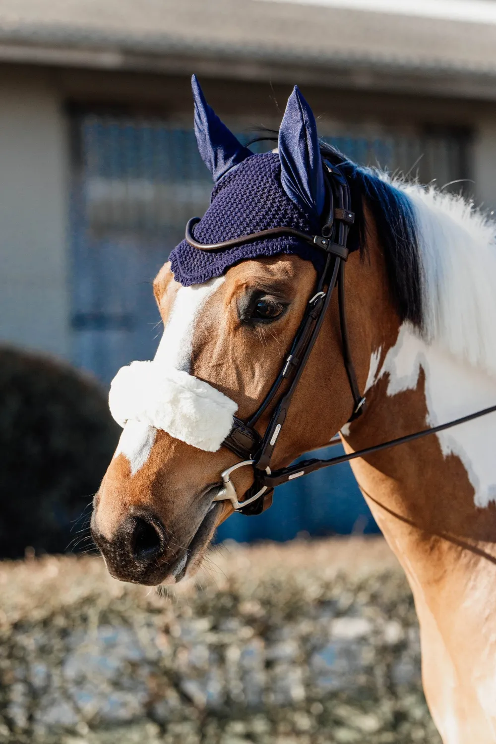 Kentucky Horsewear Kentucky Horsewear|Schabrak & Huvor-Huva Navy