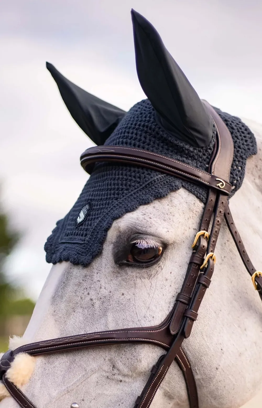 Samshield Samshield|Schabrak & Huvor-Huva Swarovski Shield Anthracit