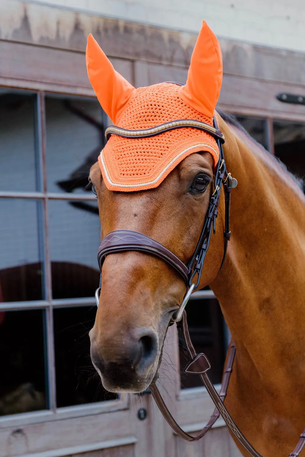 Kentucky Horsewear Kentucky Horsewear|Schabrak & Huvor-Huva Wellington Diamond Rope Orange